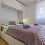 Apartment Kotvica *